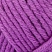 00148, *, clematis, клематис фиолетовый,ШтрихКод: 4053859031332